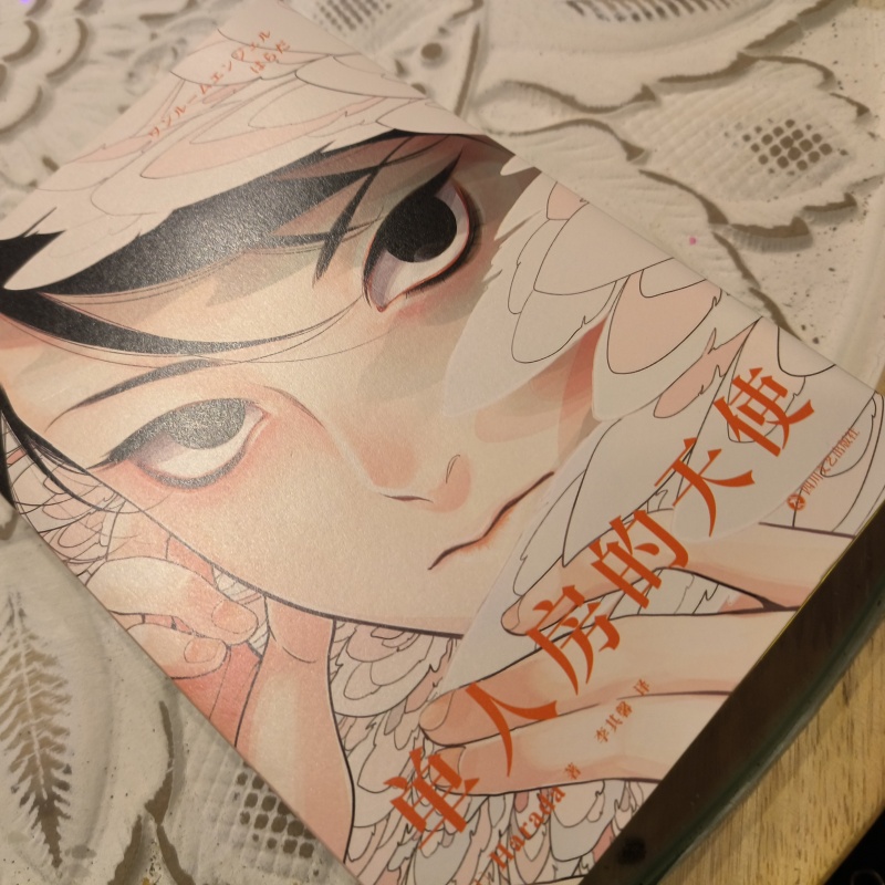 Japanese Lifestyle Books - Bande dessinée originale japonaise Angel, par