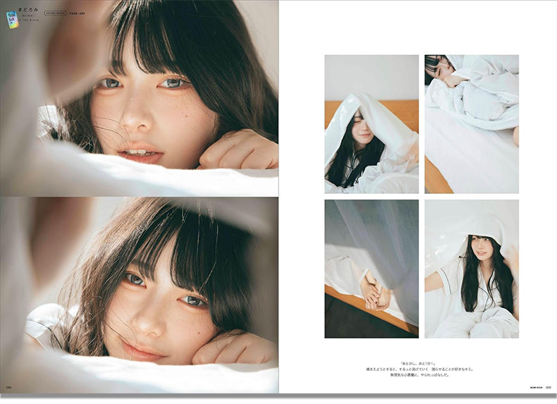 Mumei Desu : Guide de style de - Japanese Lifestyle Books avis et prix