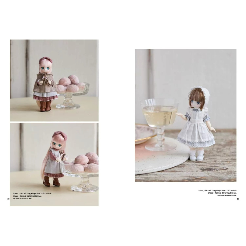 Guide complet pour habiller le - Japanese Lifestyle Books avis et prix
